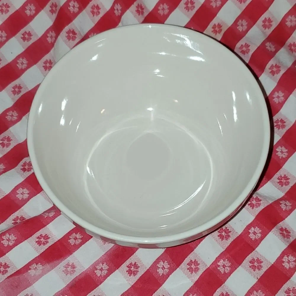 Rae Dunn by Magenta DASH Bowl NWOT